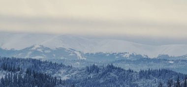 Karlı güzel kış manzarası
