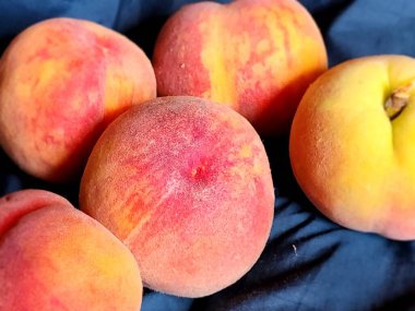 Masada yeşil yapraklı olgun kırmızı şeftaliler.