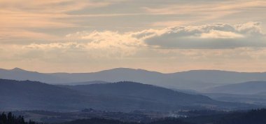 Şırıngasız kurumuş ladin.