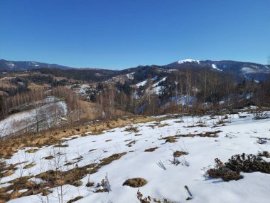 Doğanın güzel manzarası