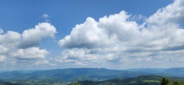 Şırıngasız kurumuş ladin.