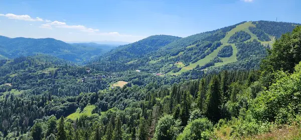 Dağların panoramik manzarası