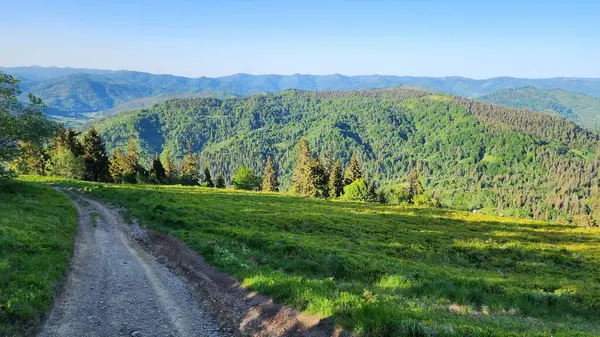 Yazın güzel dağ manzarası