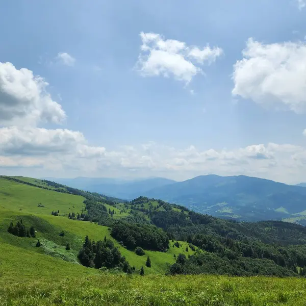 Grön Äng Och Berg Karpaterna — Stockfoto