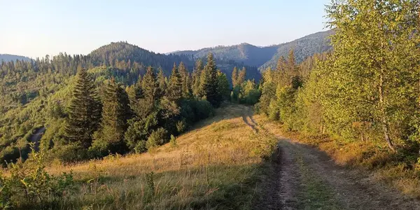 Dağlarda yaz manzarası