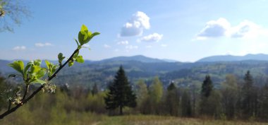Arkasında bir dağ olan güzel bir manzara.