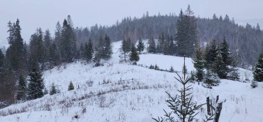 Kışın karlı bir dağ manzarasının dikey fotoğrafı.