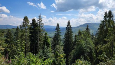 Dağ manzarası harika.