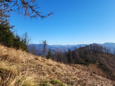 İspanya 'nın Vitosha Dağı' ndaki sonbahar manzarası