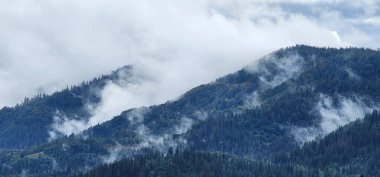 Karpat Dağlarının güzel manzarası