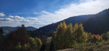 Dağlarda ormanı olan bir dağ manzarası