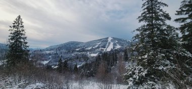 Karla kaplı ağaçlarla kaplı güzel kış manzarası