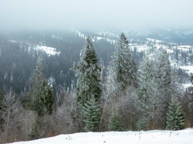 Dağlarda ağaçlarla kaplı kış manzarası. Karda kış dağı.