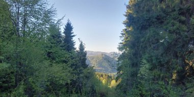 Dağ sırası olan güzel bir manzara.