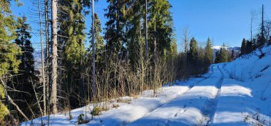 Dağlarda bir yolun güzel bir çekim