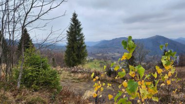 Dağlarda sonbahar manzarası