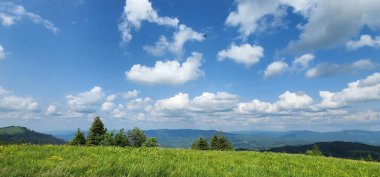 Arkasında bir dağ olan güzel bir manzara.