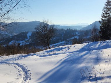 Karlı dağlarla güzel kış manzarası