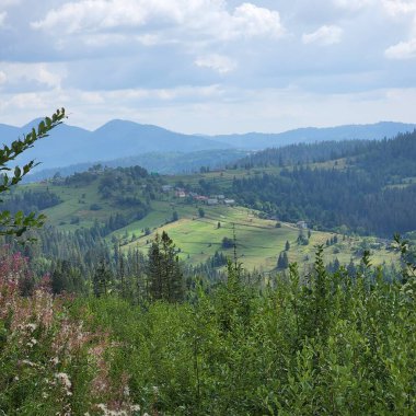 Yazın dağların manzarası