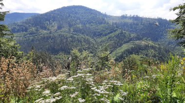 Dağlı güzel bir manzara.