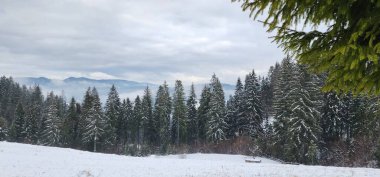 Dağ sırası olan güzel bir manzara.