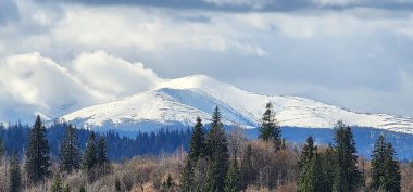 Mount Hood, Kuzey Amerika