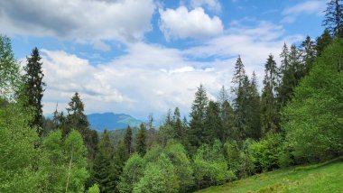 Dağları ve mavi gökyüzü olan güzel bir manzara.