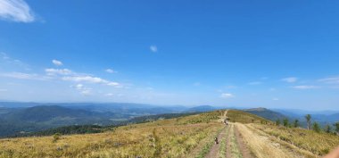 Uzakta yaz dağları ve yeşil çimenler