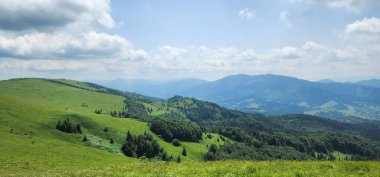 Yeşil çimenler ve ağaçlarla kaplı yaz manzarası. Slovakya