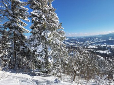 Dağların güzel manzarası
