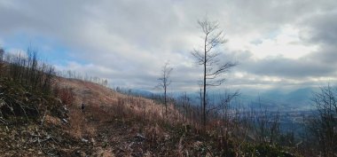 Dağın güzel manzarası