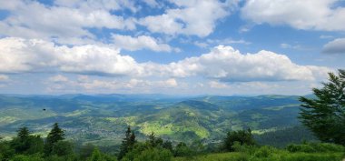 Yeşil ormanlı yaz manzarası