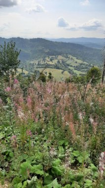 Nehir ve dağ olan güzel bir manzara.