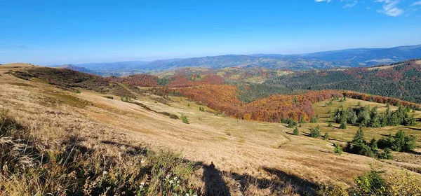 Dağlarda sonbahar manzarası