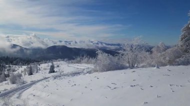 Panoramik bir manzara gözler önüne serilirken Alp Kış Harikalar Diyarı 'nda görsel bir yolculuğa çıkın. Donmuş ve karla kaplı ağaçlar doğanın heykelleri gibi duruyor, kışın yumuşak kucaklamalarıyla süslenmiş. Nefes kesici manzara dinginliği yakalıyor. 