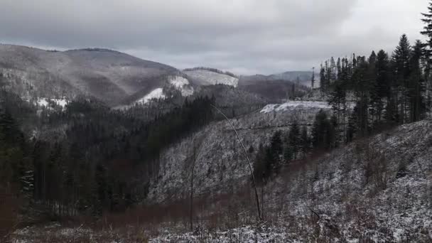 Zobacz Zapierające Dech Piersiach Panoramy Gdzie Świeże Zimowe Powietrze Spotyka — Wideo stockowe