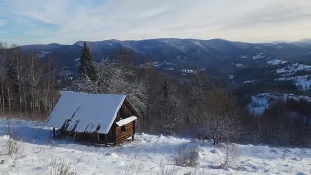 Здійсніть Візуальну Подорож Альпійській Зимовій Країні Чудес Розгортається Панорамне Видовище — стокове відео