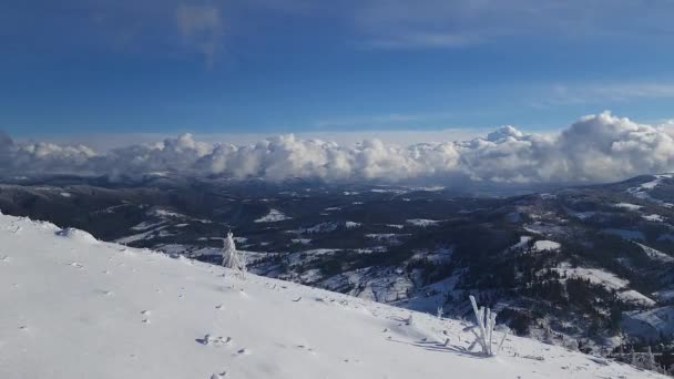 Haga Viaje Visual Través Paraíso Invernal Alpino Mientras Desarrolla Espectáculo — Vídeos de Stock