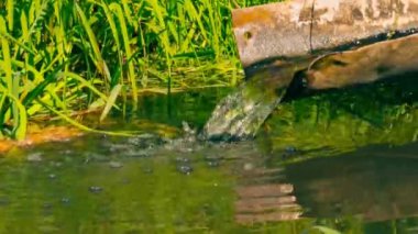 Parktaki küçük gölet.