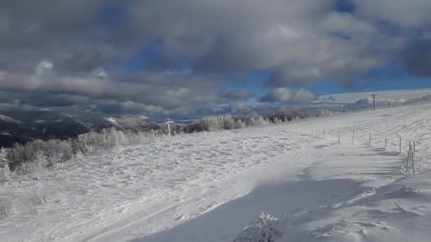 Schöne Winterlandschaft Mit Schnee — Stockvideo