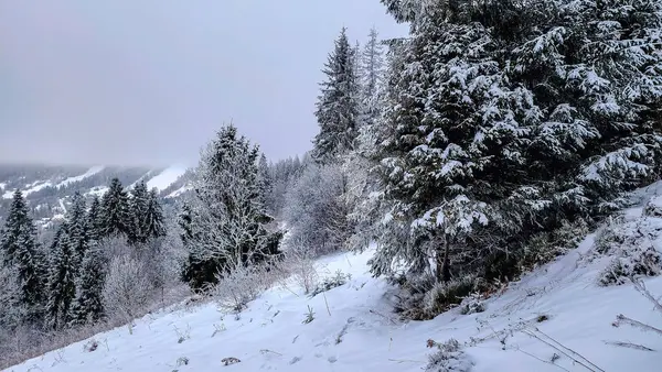 Dağlarda kış, güzel manzaralar.