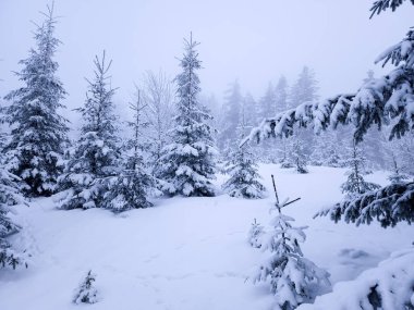 Dağlarda kış manzarası