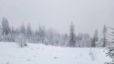 Dağlarda kış manzarası