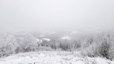 Arkasında bir dağ olan güzel bir manzara.