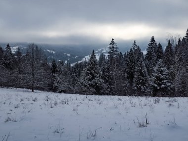 Dağlarda güzel bir kış manzarası