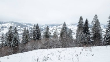 Kışın karla kaplı dağlar