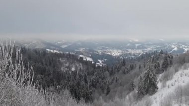 Karla kaplı bir tepenin tepesinden manzara. Ormanda karla kaplı ağaçlarla ve dağlarla kaplı güzel kış manzarası..