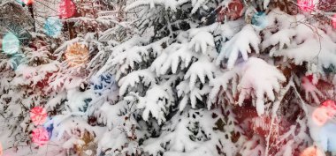 Önplanda parlayan renkli bokeh neşeli bir hava yaratıyor, sıcaklık ve kutlama atmosferi yaratıyor. Arka planda bir kış manzarası mevsimlik cazibenin büyülü bir karışımıyla Noel ve Yeni Yıl 'ın özünü yakalıyor..