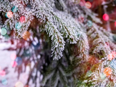 Önplanda parlayan renkli bokeh neşeli bir hava yaratıyor, sıcaklık ve kutlama atmosferi yaratıyor. Arka planda bir kış manzarası mevsimlik cazibenin büyülü bir karışımıyla Noel ve Yeni Yıl 'ın özünü yakalıyor..