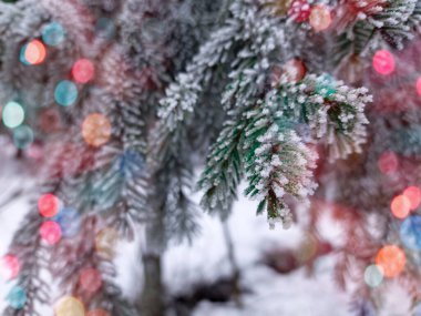 Önplanda parlayan renkli bokeh neşeli bir hava yaratıyor, sıcaklık ve kutlama atmosferi yaratıyor. Arka planda bir kış manzarası mevsimlik cazibenin büyülü bir karışımıyla Noel ve Yeni Yıl 'ın özünü yakalıyor..